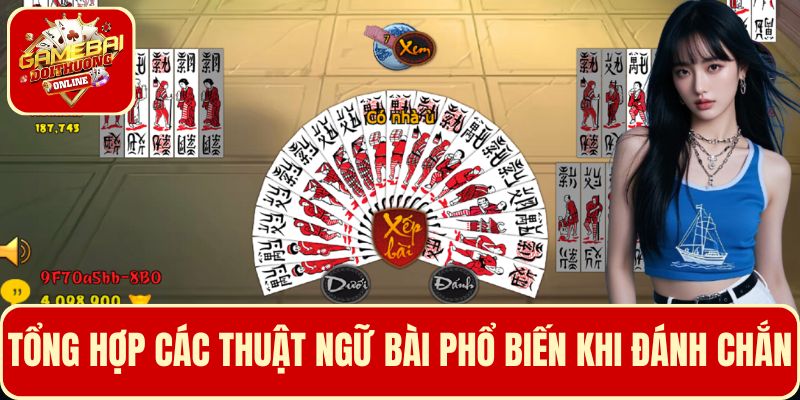 Tổng hợp các thuật ngữ bài phổ biến được dùng khi đánh chắn