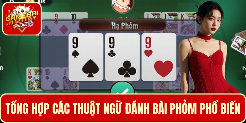 Tổng hợp các thuật ngữ cần biết khi tham gia đánh Phỏm
